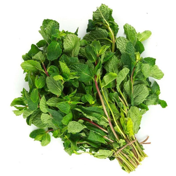 Mint bunch