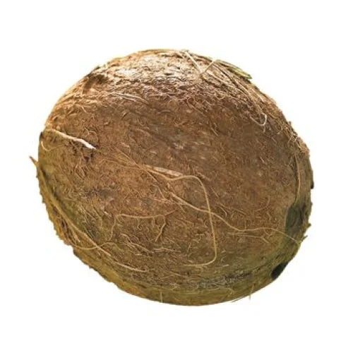 Coconut 1pc